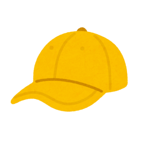 Gorra test x